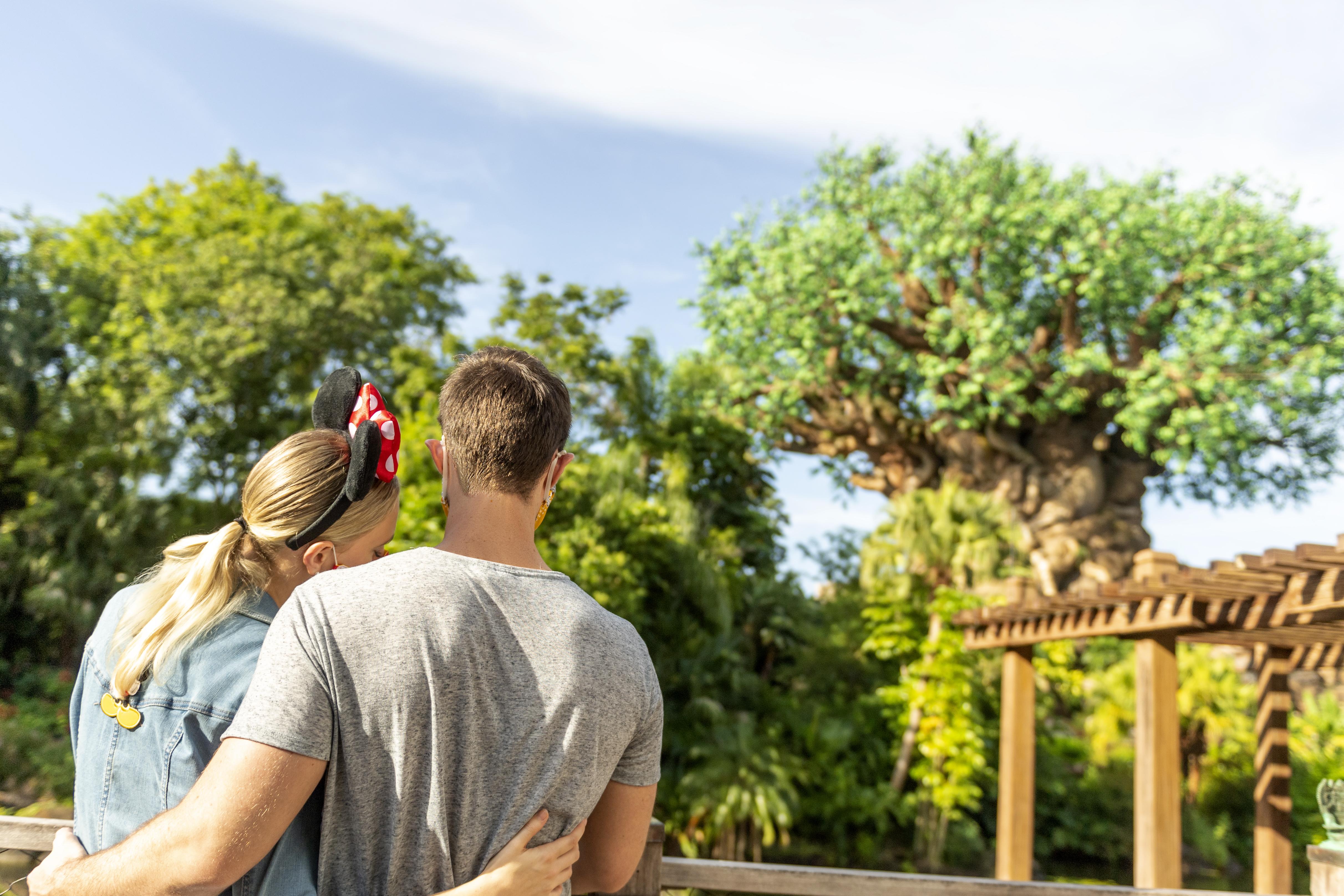 Boulder Ridge Villas At Disney'S Wilderness Lodge Lake Buena Vista Esterno foto